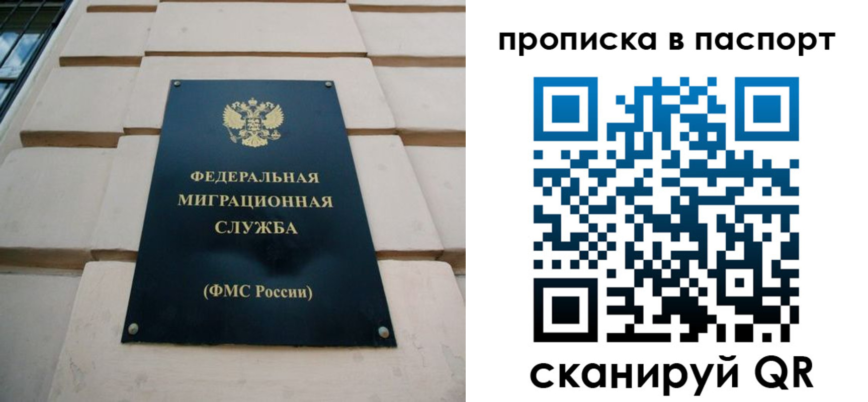прописка для работы в Ржеве